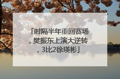 时隔半年重回赛场，樊振东上演大逆转，3比2徐瑛彬