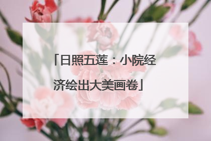 日照五莲：小院经济绘出大美画卷