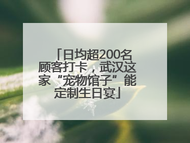 日均超200名顾客打卡，武汉这家“宠物馆子”能定制生日宴