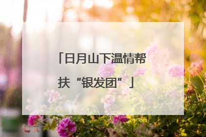 日月山下温情帮扶“银发团”