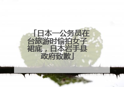 日本一公务员在台旅游时偷拍女子裙底，日本岩手县政府致歉