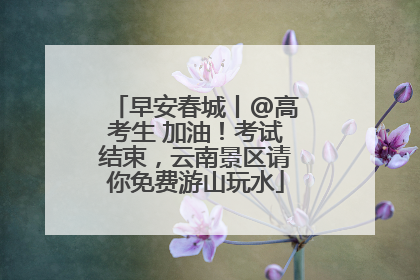早安春城丨@高考生 加油！考试结束，云南景区请你免费游山玩水