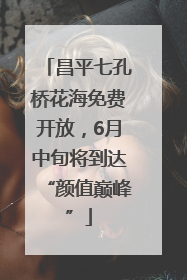 昌平七孔桥花海免费开放，6月中旬将到达“颜值巅峰”