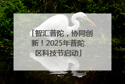 智汇普陀，协同创新！2025年普陀区科技节启动