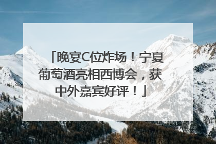 晚宴C位炸场！宁夏葡萄酒亮相西博会，获中外嘉宾好评！
