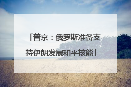普京：俄罗斯准备支持伊朗发展和平核能