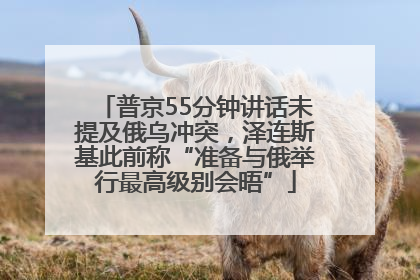 普京55分钟讲话未提及俄乌冲突，泽连斯基此前称“准备与俄举行最高级别会晤”
