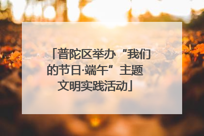 普陀区举办“我们的节日·端午”主题文明实践活动