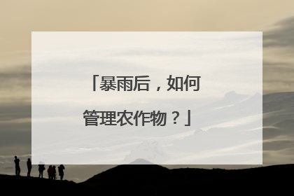 暴雨后，如何管理农作物？