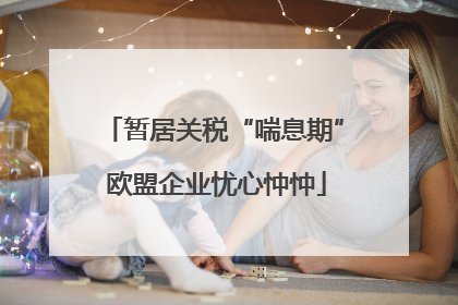 暂居关税“喘息期” 欧盟企业忧心忡忡