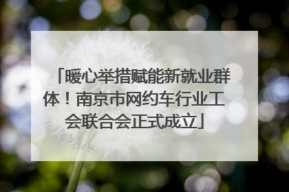 暖心举措赋能新就业群体！南京市网约车行业工会联合会正式成立