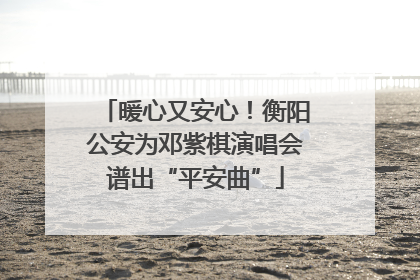 暖心又安心！衡阳公安为邓紫棋演唱会谱出“平安曲”