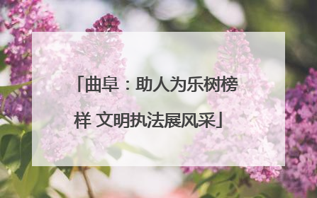 曲阜：助人为乐树榜样 文明执法展风采