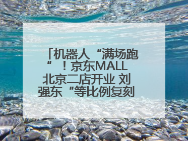 机器人“满场跑”！京东MALL北京二店开业 刘强东“等比例复刻”能否带火线下“618”？