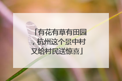 有花有草有田园，杭州这个景中村又给村民送惊喜
