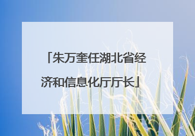 朱万奎任湖北省经济和信息化厅厅长