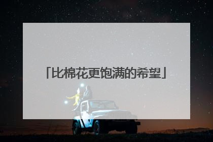 比棉花更饱满的希望