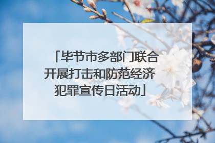 毕节市多部门联合开展打击和防范经济犯罪宣传日活动