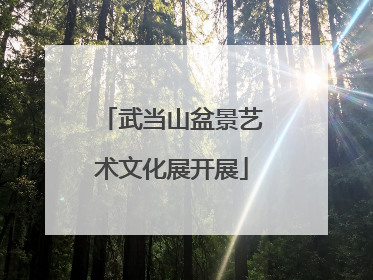 武当山盆景艺术文化展开展