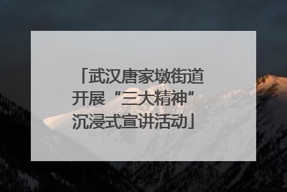 武汉唐家墩街道开展“三大精神”沉浸式宣讲活动