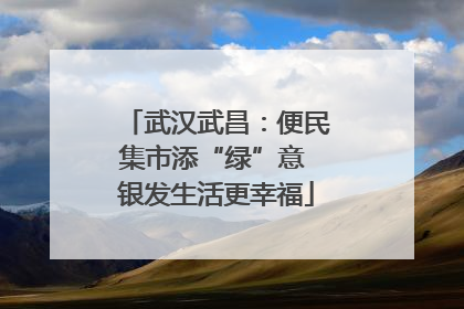 武汉武昌：便民集市添“绿”意 银发生活更幸福