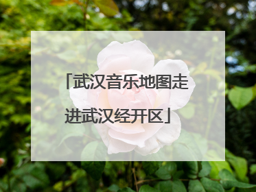 武汉音乐地图走进武汉经开区