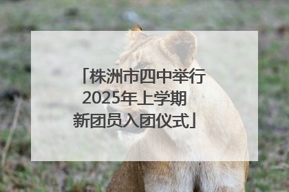 株洲市四中举行2025年上学期新团员入团仪式