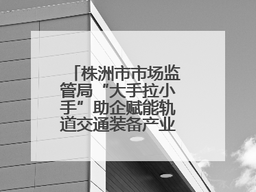 株洲市市场监管局“大手拉小手”助企赋能轨道交通装备产业链质量升级