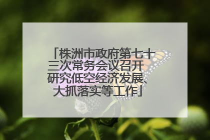 株洲市政府第七十三次常务会议召开 研究低空经济发展、大抓落实等工作