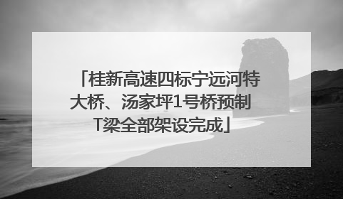 桂新高速四标宁远河特大桥、汤家坪1号桥预制T梁全部架设完成
