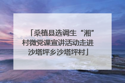 桑植县选调生“湘”村微党课宣讲活动走进沙塔坪乡沙塔坪村