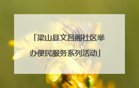 梁山县文昌阁社区举办便民服务系列活动