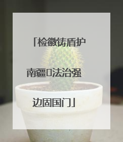 检徽铸盾护南疆 法治强边固国门