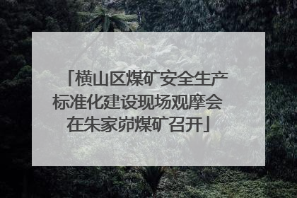 横山区煤矿安全生产标准化建设现场观摩会在朱家峁煤矿召开