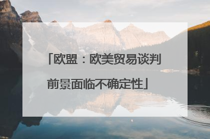 欧盟：欧美贸易谈判前景面临不确定性