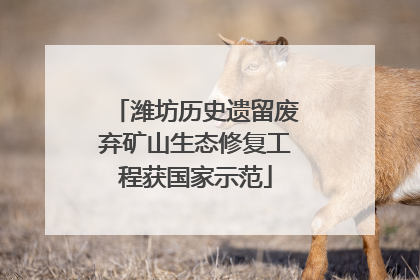 潍坊历史遗留废弃矿山生态修复工程获国家示范