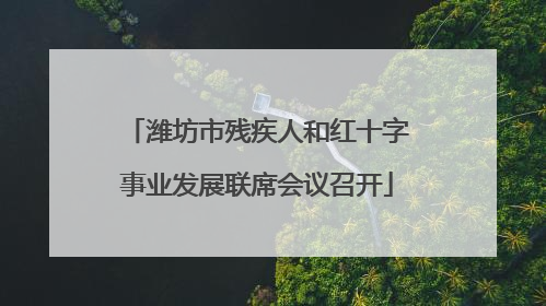 潍坊市残疾人和红十字事业发展联席会议召开