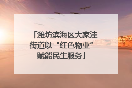 潍坊滨海区大家洼街道以“红色物业”赋能民生服务