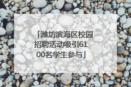 潍坊滨海区校园招聘活动吸引6100名学生参与