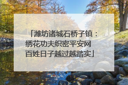潍坊诸城石桥子镇：绣花功夫织密平安网 百姓日子越过越踏实