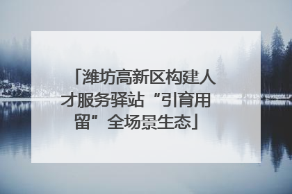 潍坊高新区构建人才服务驿站“引育用留”全场景生态