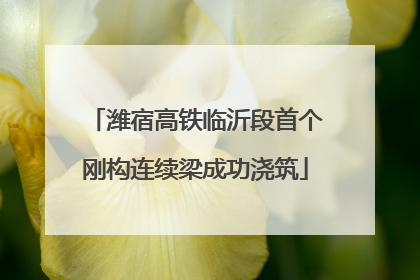 潍宿高铁临沂段首个刚构连续梁成功浇筑