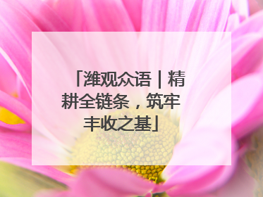 潍观众语｜精耕全链条，筑牢丰收之基