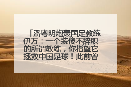 潘粤明炮轰国足教练伊万：一个装傻不辞职的所谓教练，你指望它拯救中国足球！此前曾多次发文评价国足