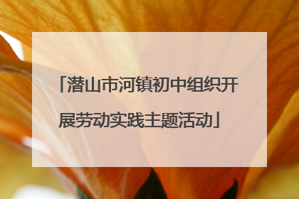 潜山市河镇初中组织开展劳动实践主题活动