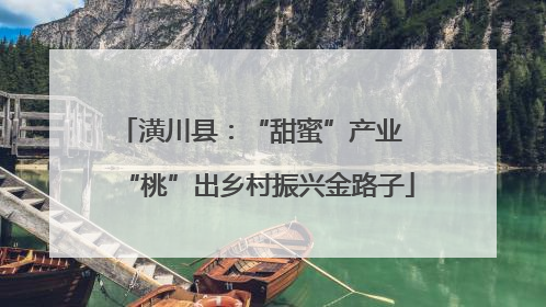 潢川县：“甜蜜”产业  “桃”出乡村振兴金路子
