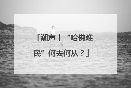 潮声丨“哈佛难民”何去何从？
