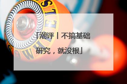 潮评丨不搞基础研究，就没根