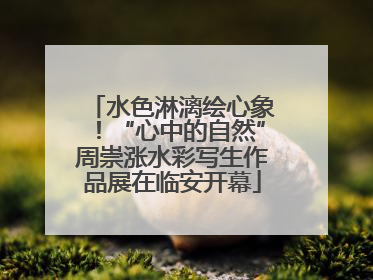 水色淋漓绘心象！“心中的自然”周崇涨水彩写生作品展在临安开幕