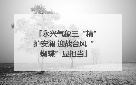永兴气象三“精”护安澜 迎战台风“蝴蝶”显担当